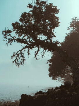Seascape