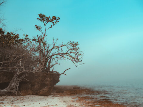Seascape