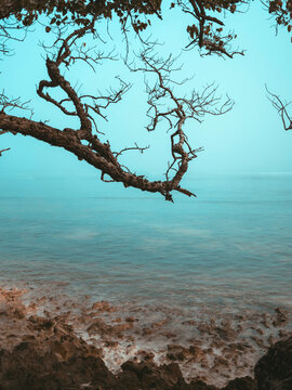 Seascape