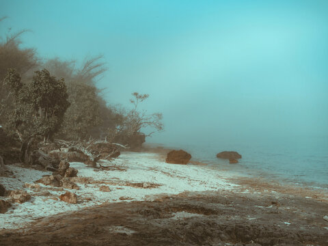 Seascape