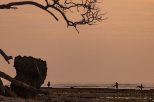 Surfers at the beach
