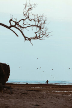 Surfer at the beach