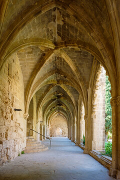 Cloister of Bellapais Abbey, Cyprus