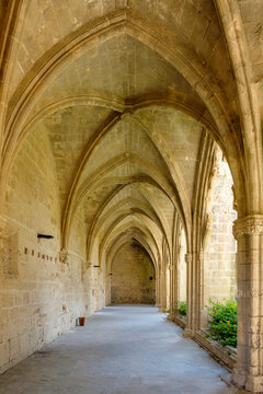 Cloister of Bellapais Abbey, Cyprus