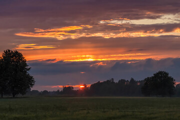 sunset over the field