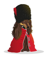  Image of a dachshund in a guardsman costume in vector