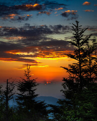 Mountain Sunset through the Trees