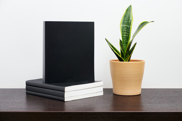Black book mockup wtih cactus in a pot on dark workspace table and white wall background