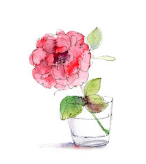Watercolor pink rose in glass - 413895355