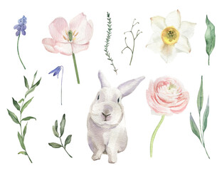 Watercolor hand drawn set with spring flowers and bunny on white background.