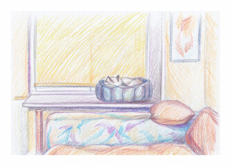 A room with a sleeping cat. Color pencils