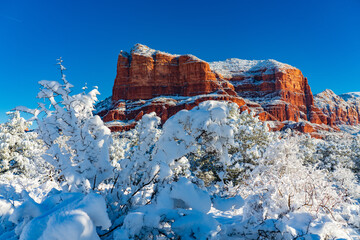 Snow Covered Trees in Front of Courthouse Butte