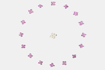 Frame made of spring lilac flowers isolated on white background. Flower composition. Flat lay. Top view