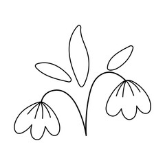 Vector black and white snowdrops icon. First blooming plants outline illustration or coloring page. Floral clip art. Cute line spring flowers isolated on white background..