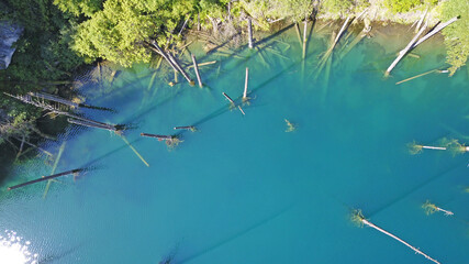 Coniferous trees rise from the depths of a mountain lake. Top view from the drone. On the shore you can see rocks, green forest and grass growing. Kaindy Lake, Kazakhstan. Groups tourists are resting.