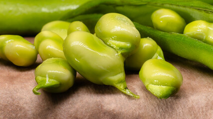Scene of fresh beans from the traditional garden, freshly harvested and green, green food very healthy and good for diets and slimming.