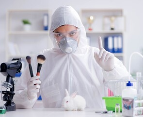 Scientist doing animal experiment in lab with rabbit