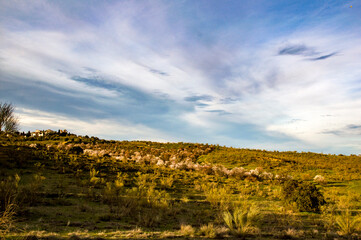 El Beato, Olías del Rey, Toledo, Castilla la Mancha, España
