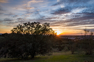 Nos vamos despidiendo del invierno. El Beato, Toledo, Castilla la Mancha, España