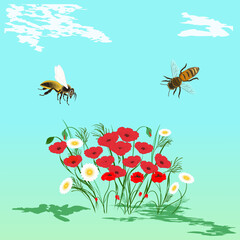 Wildflowers, poppies, chamomiles, flying bees - vector. Spring motive.
