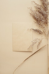 Creative layout made of dry pampas grass reeds agains and paper card note on beige background. Minimal, stylish, trend concept. Flat lay, top view, copy space. Trend color 2021