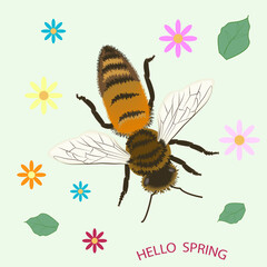 Bee close-up, floral abstract background - vector. Spring motive.