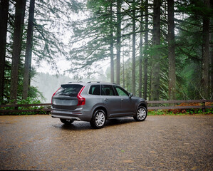SUV automobile parked at pull off on forest road