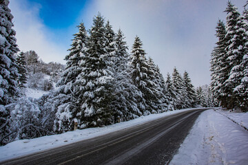 Mountain road while snow blizzard is dangerous