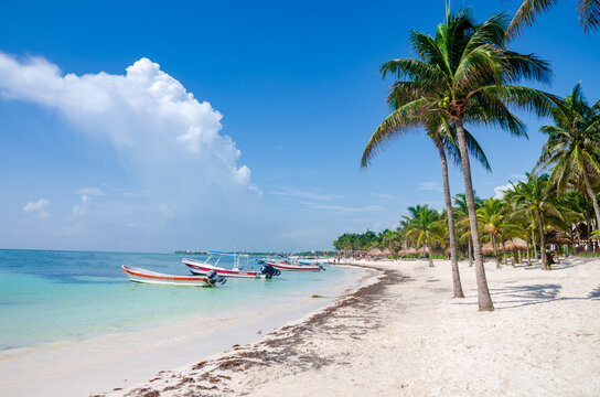 View of  tropical caribbean Akumal Beach - Tulum, Yucatan, Mexico