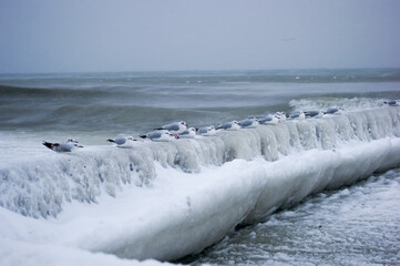 Frozen icy sea and winter beach