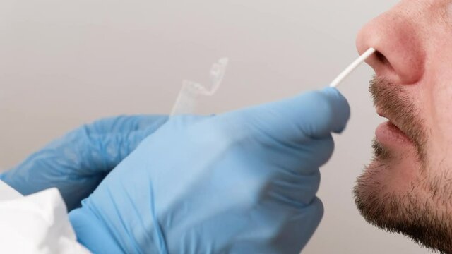 A healthcare worker taking a nasal swab probe for PCR testing coronavirus Covid-19 infection.