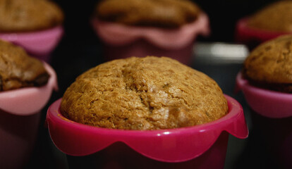 chocolate chip muffin