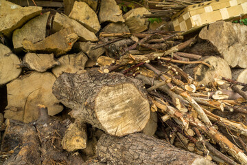 cut pieces of wood stacked in the woodshed