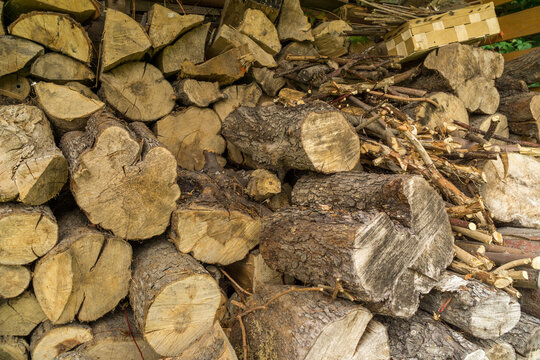 cut pieces of wood stacked in the woodshed