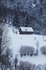 the old wooden house in the snowy forest