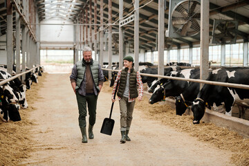 Mature owner of animal farm talking to teenage boy while moving between paddocks - obrazy, fototapety, plakaty