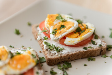 bruschetta with tomato and eggs isolated on plate.