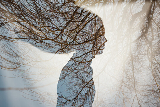 Double exposure of a girl's profile silhouette with tree branches