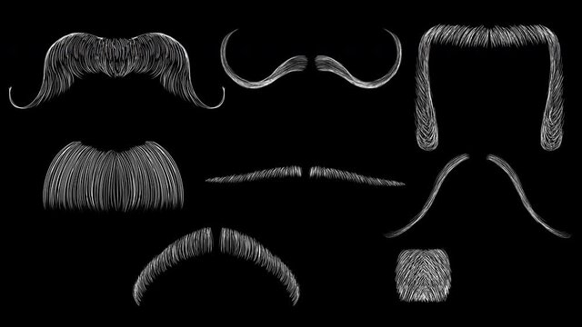 Set of lines men's mustache. Choosing a style in a barbershop. Doodle mustache video. Filter for blending elements on the face. 4k animation with alpha channel.