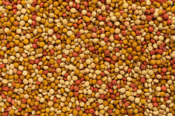 Cat food ration pattern texture background