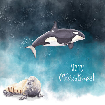 Merry Christmas card with polar animals: killer whale and walrus. Hand drawn animals Blue and white colors High resolution printable greeting card