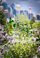 Obraz premium spring in the city