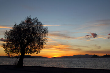 Naklejka na ściany i meble Beautiful silhouette leafless tree and sunset sky beside the sea.