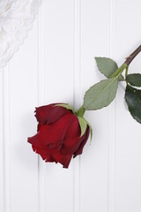 Róża bordowa i tkanina jasna na białym blacie drewnianym