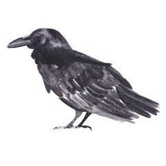 Watercolor halloween animal illustration. Black spooky scary hand painted hand drawn animals High resolution isolated on white Halloween party decor, stickers and planner clip art, graphics.  