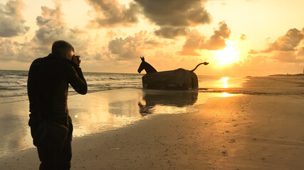 Man taking a photograph of a WWII bunker turned into a sculpture of a mule at sunset on the beach...