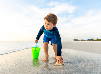 Young Boy on Beach Reaching For Seashell While Looking For More