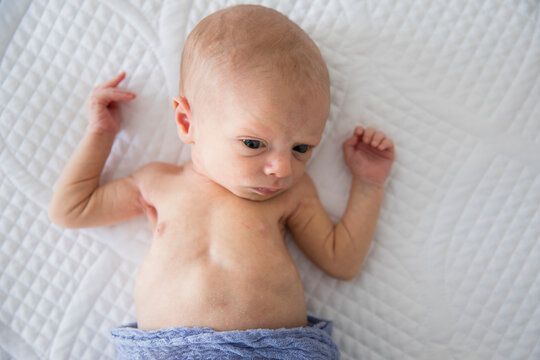 Overhead View Of Awake, Alert Newborn Girl Wrapped In Purple Blanket