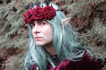 Mythical male elf in the forest