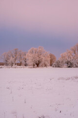 Zimowy wschód słońca